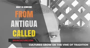 Discovering the Correct Term for a Person from Antigua