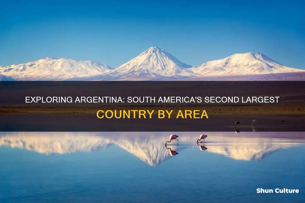 what is south america