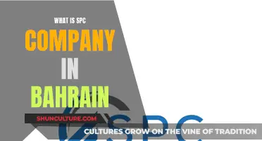 SPC Company: Understanding Bahrain's Unique Business Entity