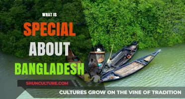 Discover Bangladesh's Unique Culture, Natural Beauty, and Vibrant Heritage