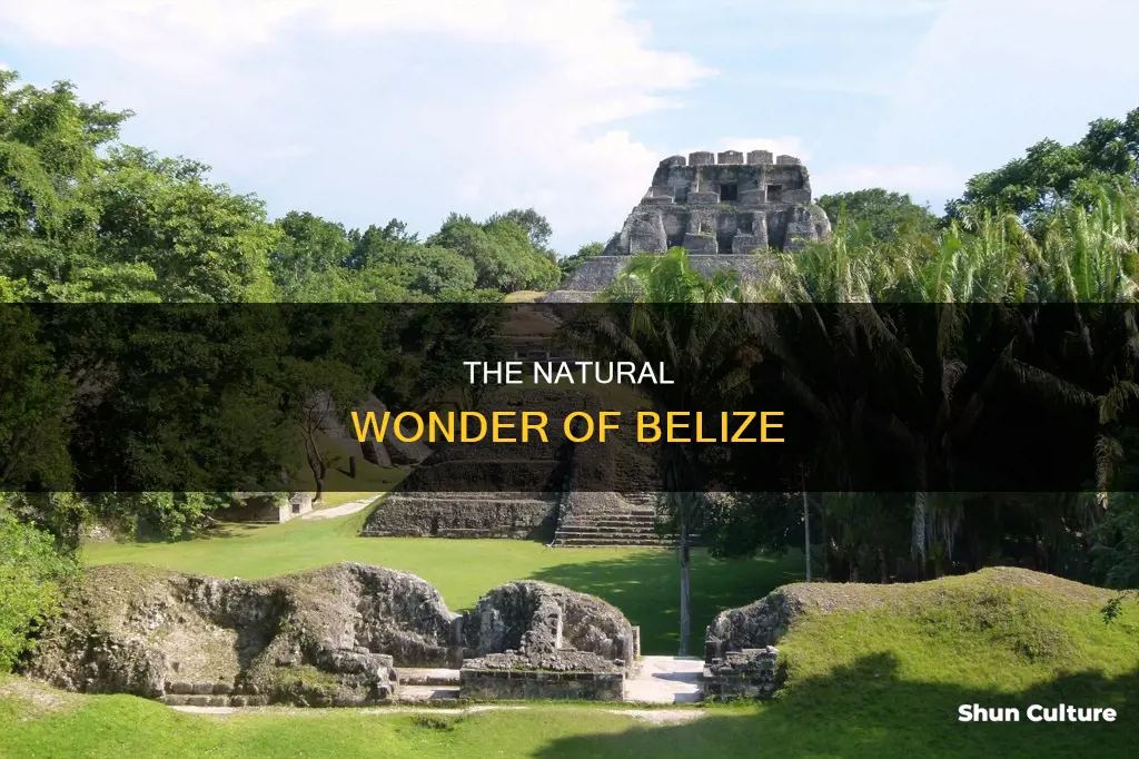 what is special about belize