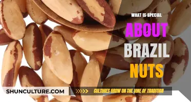Brazil Nuts: Unlocking the Unique Health and Culinary Benefits