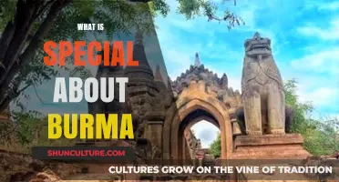 Unveiling the Unique Charm of Burma: A Journey Through Its Rich Heritage