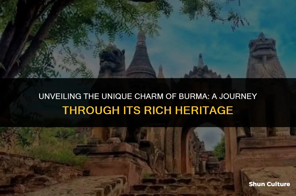 what is special about burma
