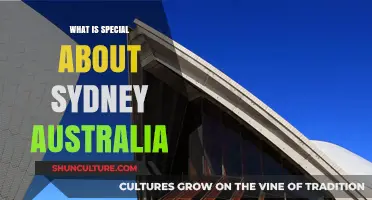 Sydney's Unique Charm: Iconic Landmarks, Vibrant Culture, and Coastal Beauty