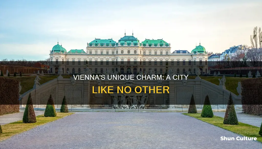 what is special about vienna austria