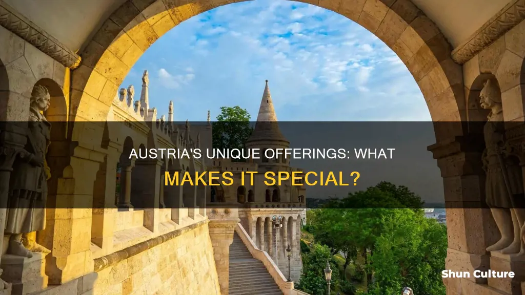 what is special in austria