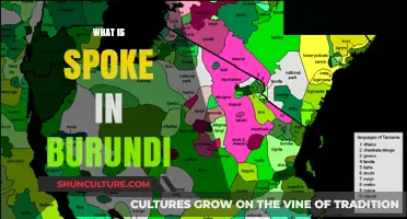 Exploring the Rich Linguistic Landscape of Burundi: A Deep Dive