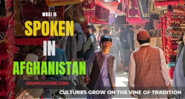 The Many Languages of Afghanistan: A Complex Linguistic Landscape