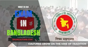 Understanding Bangladesh's SSC Exam: Purpose, Structure, and Importance