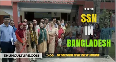 Understanding Bangladesh's Social Safety Net (SSN) Programs: A Comprehensive Guide