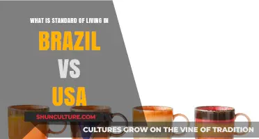 Comparing Brazil and USA: Standard of Living Insights and Differences