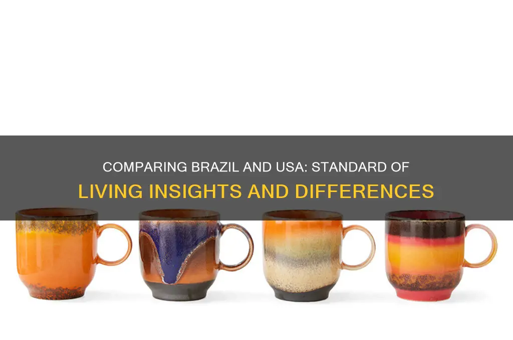 what is standard of living in brazil vs usa