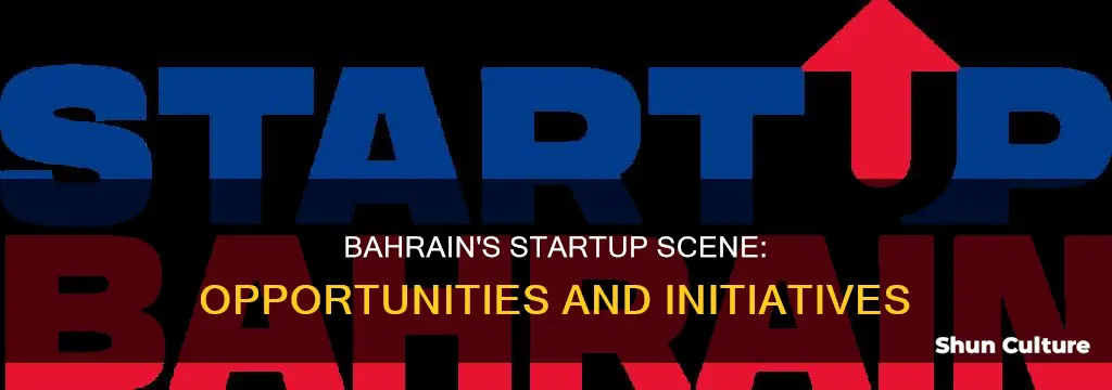 what is startup bahrain