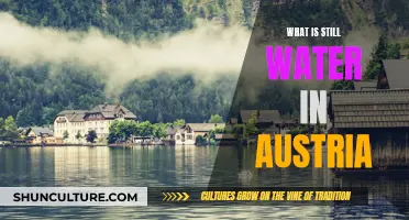 The Serenity of Still Water: Exploring Austria's Hidden Gems