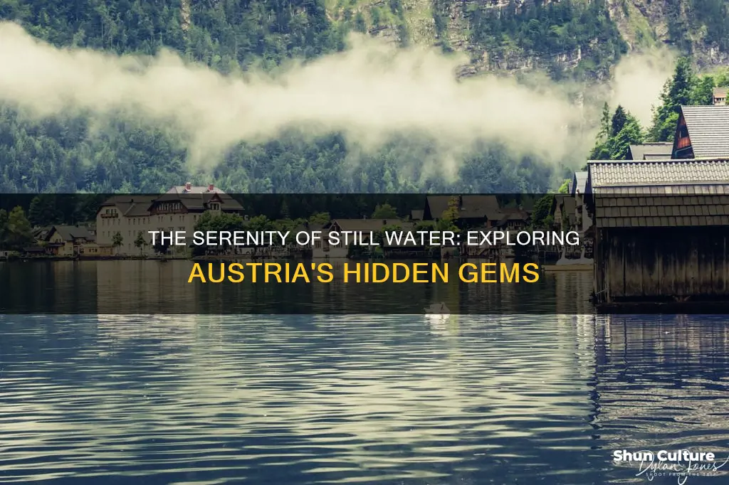 what is still water in austria