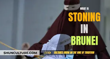 Brunei's Stoning Punishment: Understanding the Harsh Law