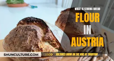 Understanding Austria's Strong Bread Flour: A Baker's Guide