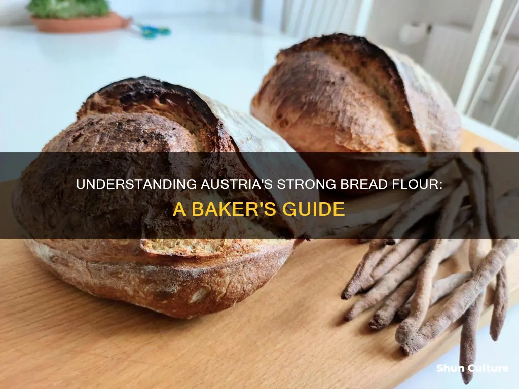 what is strong bread flour in austria