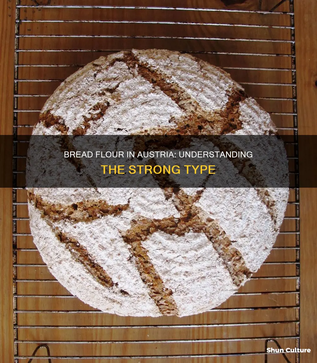 what is strong bread flour in austria