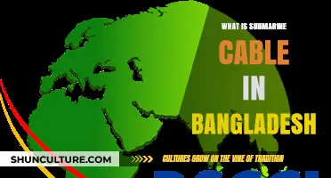Understanding Bangladesh's Submarine Cable: Connectivity, Impact, and Future Prospects