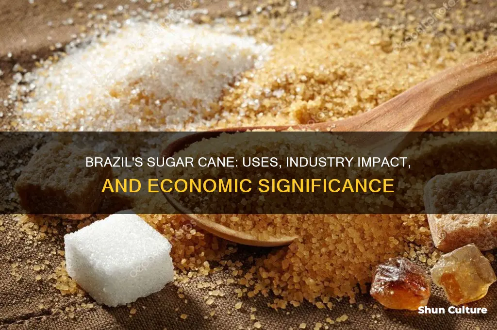 what is sugar cane used for in brazil