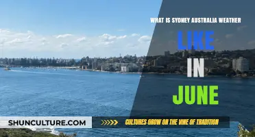 Sydney's June Weather: Cool, Crisp, and Occasionally Rainy Conditions