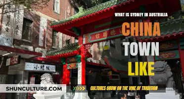 Exploring Sydney's Vibrant Chinatown: Culture, Food, and Hidden Gems