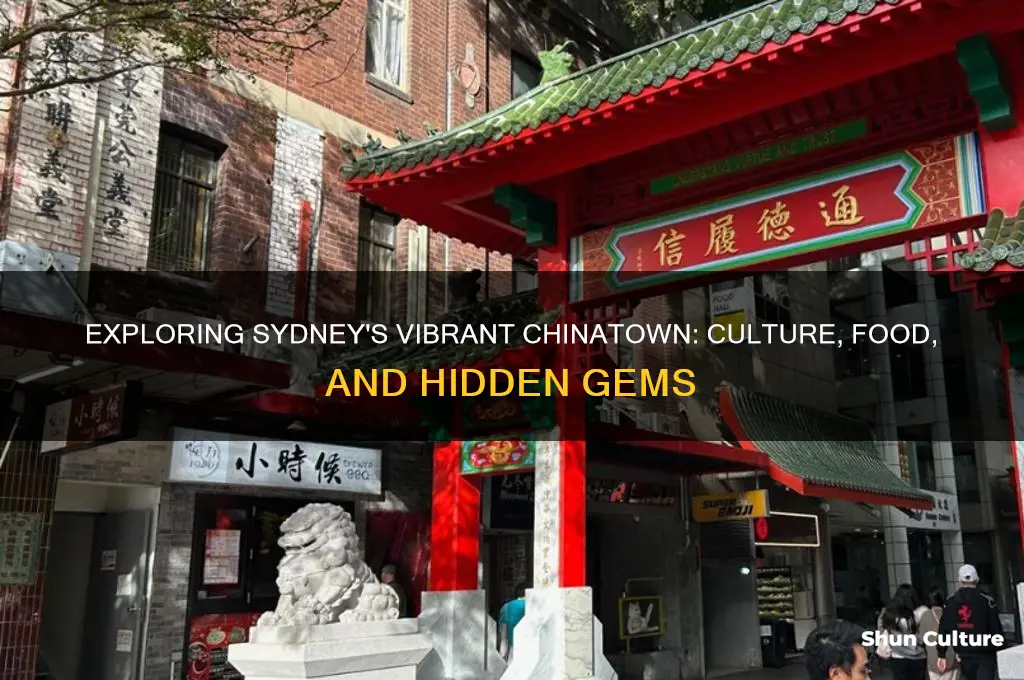 what is sydney in australia china town like