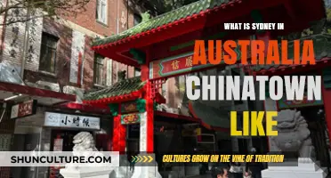 Exploring Sydney's Vibrant Chinatown: Culture, Food, and Hidden Gems