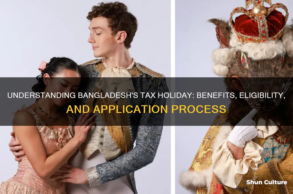 what is tax holiday in bangladesh
