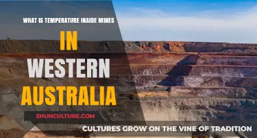 Western Australia's Mines: How Hot Does It Get?