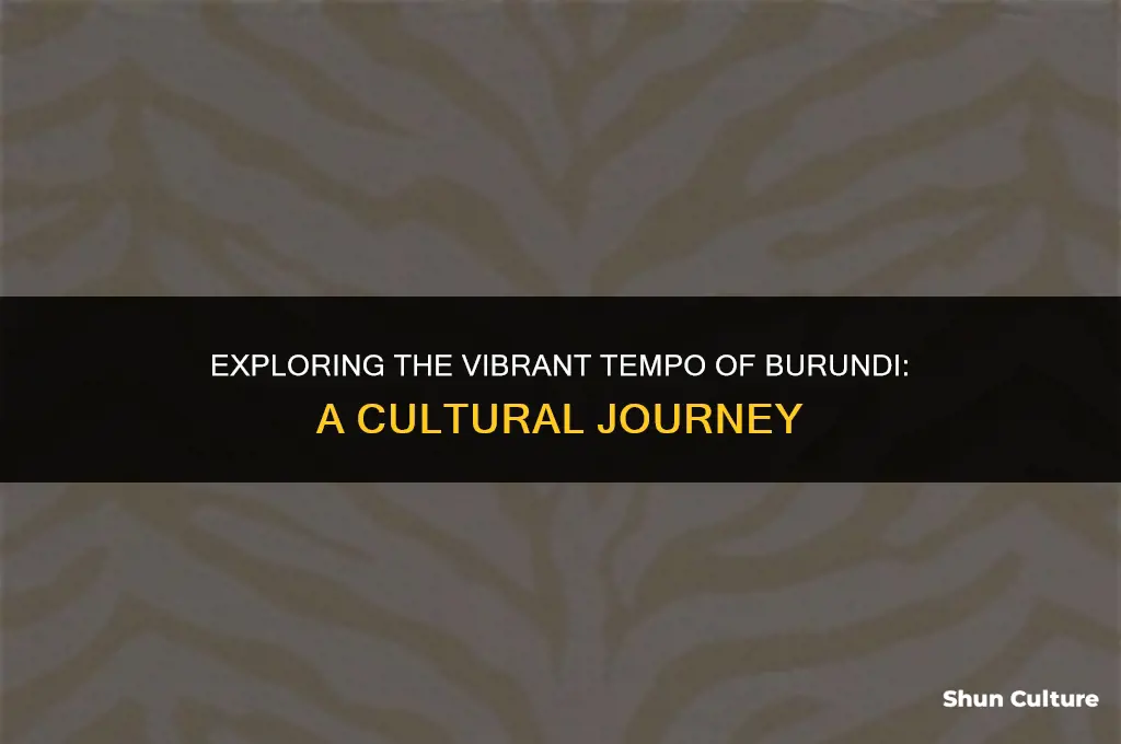 what is tempo burundi