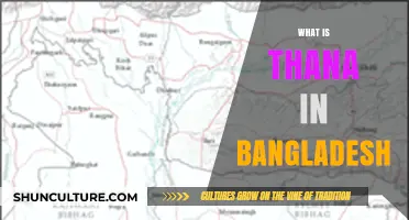 Understanding Bangladesh's Thana System: Structure, Role, and Local Governance