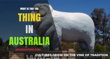 The Giant Australian Icons: What and Why?