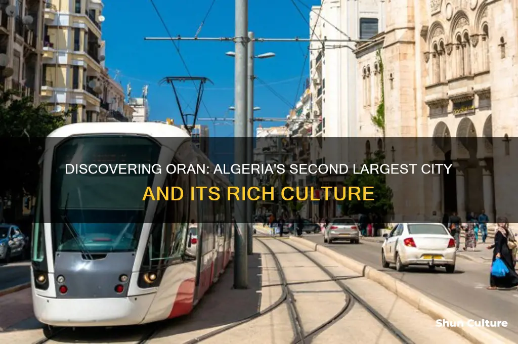 what is the 2nd largest city in algeria
