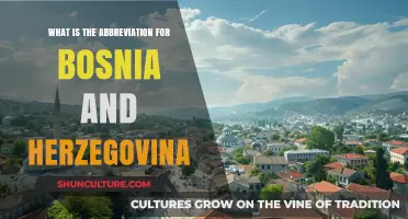 Understanding Bosnia and Herzegovina's Official Country Code Abbreviation