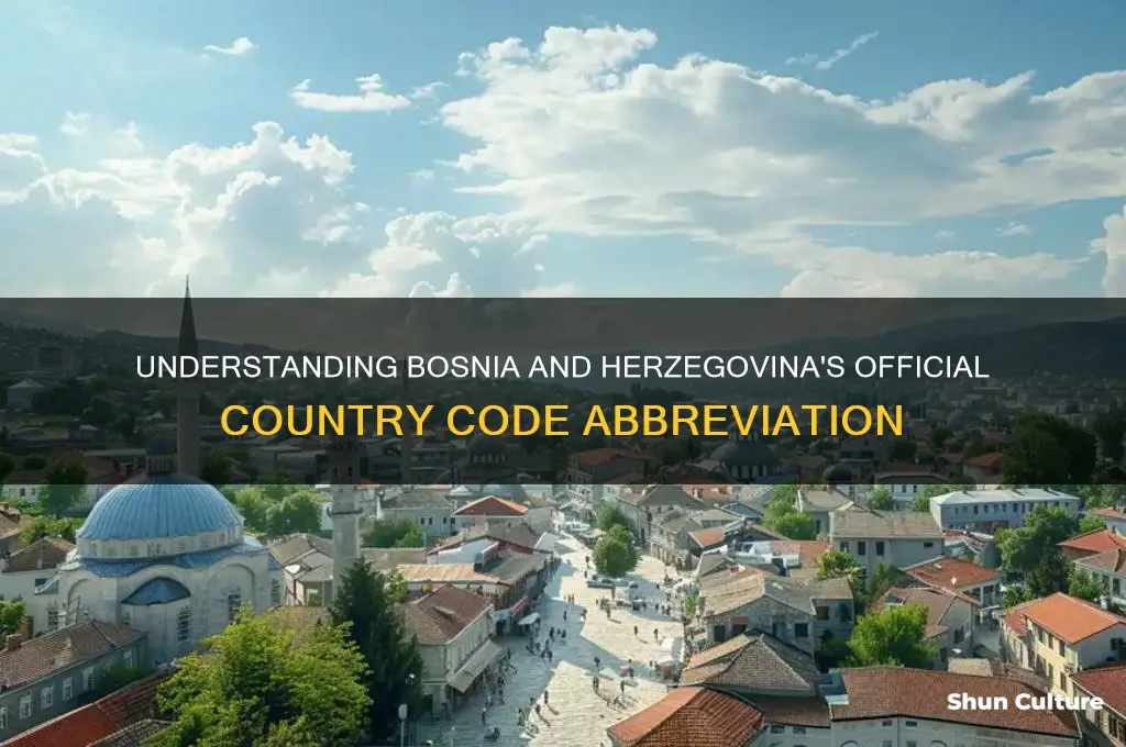 what is the abbreviation for bosnia and herzegovina
