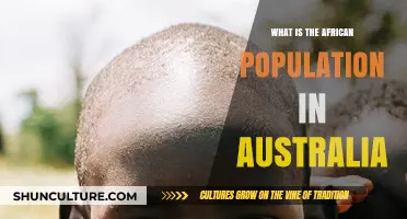 African Diaspora in Australia: Population Insights