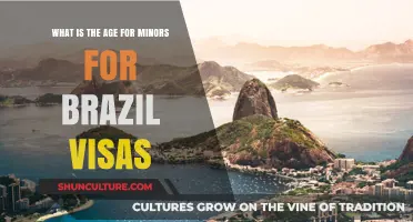 Understanding Brazil Visa Age Requirements for Minors: A Comprehensive Guide