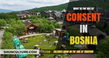 Understanding Bosnia's Age of Consent Laws: Key Facts and Insights