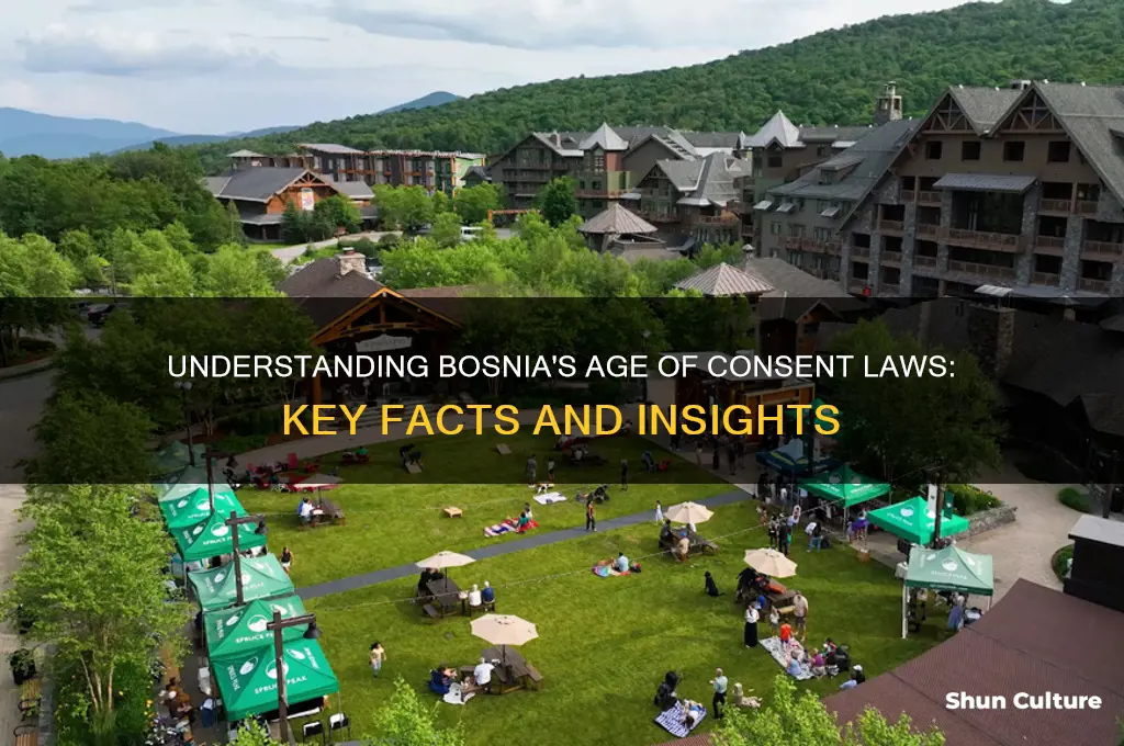 what is the age of consent in bosnia
