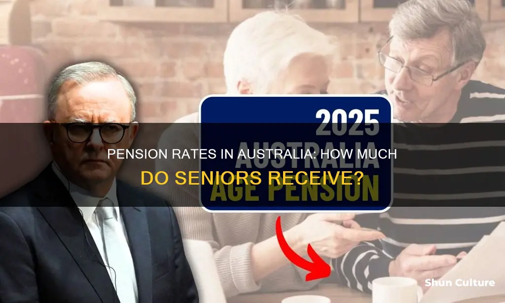 what is the age pension rate in australia