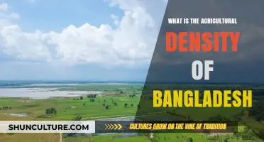 Exploring Bangladesh's Agricultural Density: Population, Farmland, and Food Production