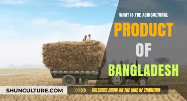 Exploring Bangladesh's Diverse Agricultural Products and Their Economic Impact