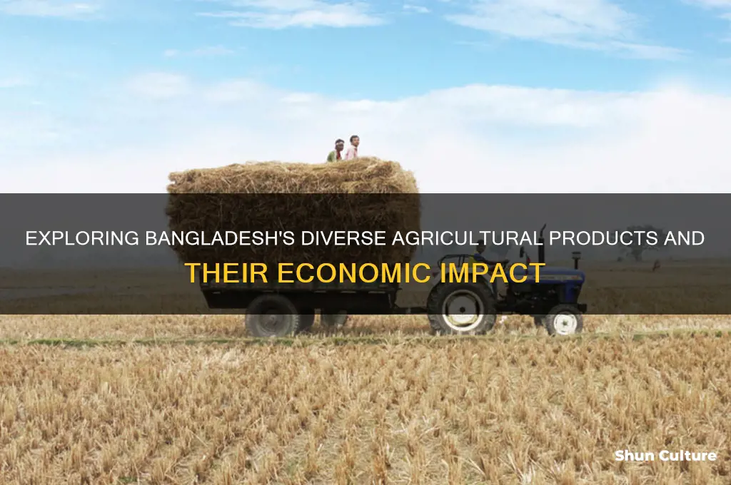 what is the agricultural product of bangladesh