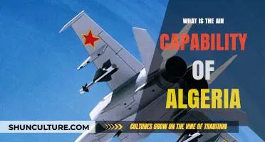 Algeria's Air Power: Capabilities, Strengths, and Strategic Role