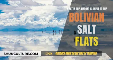 Closest Gateway to Bolivia's Salt Flats: A Traveler's Guide