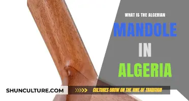Exploring the Algerian Mandola: Cultural Significance and Musical Heritage