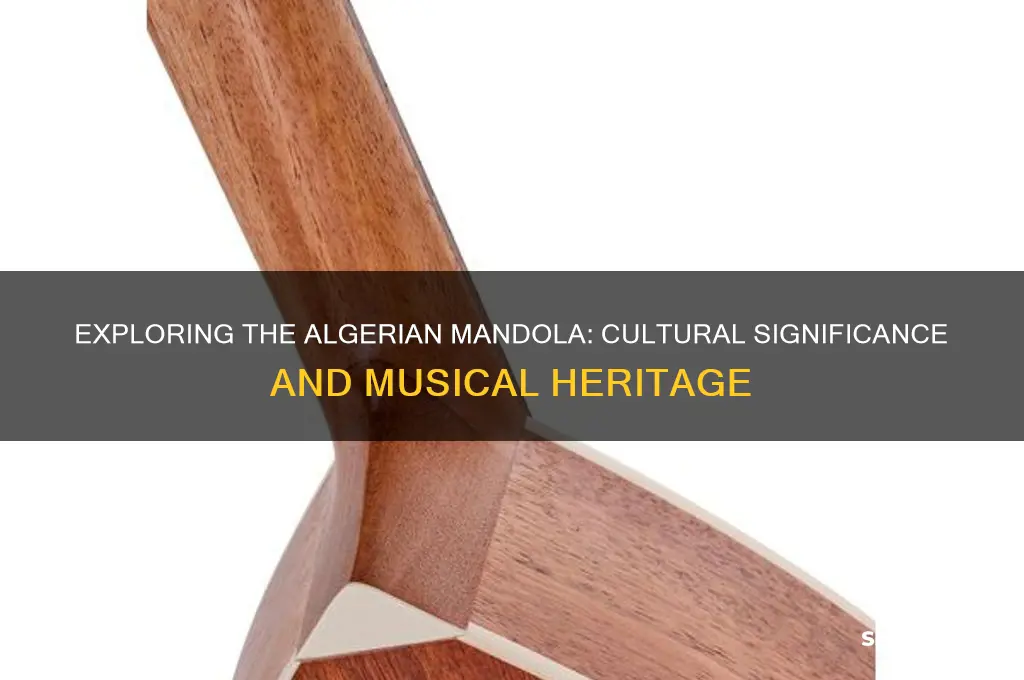 what is the algerian mandole in algeria
